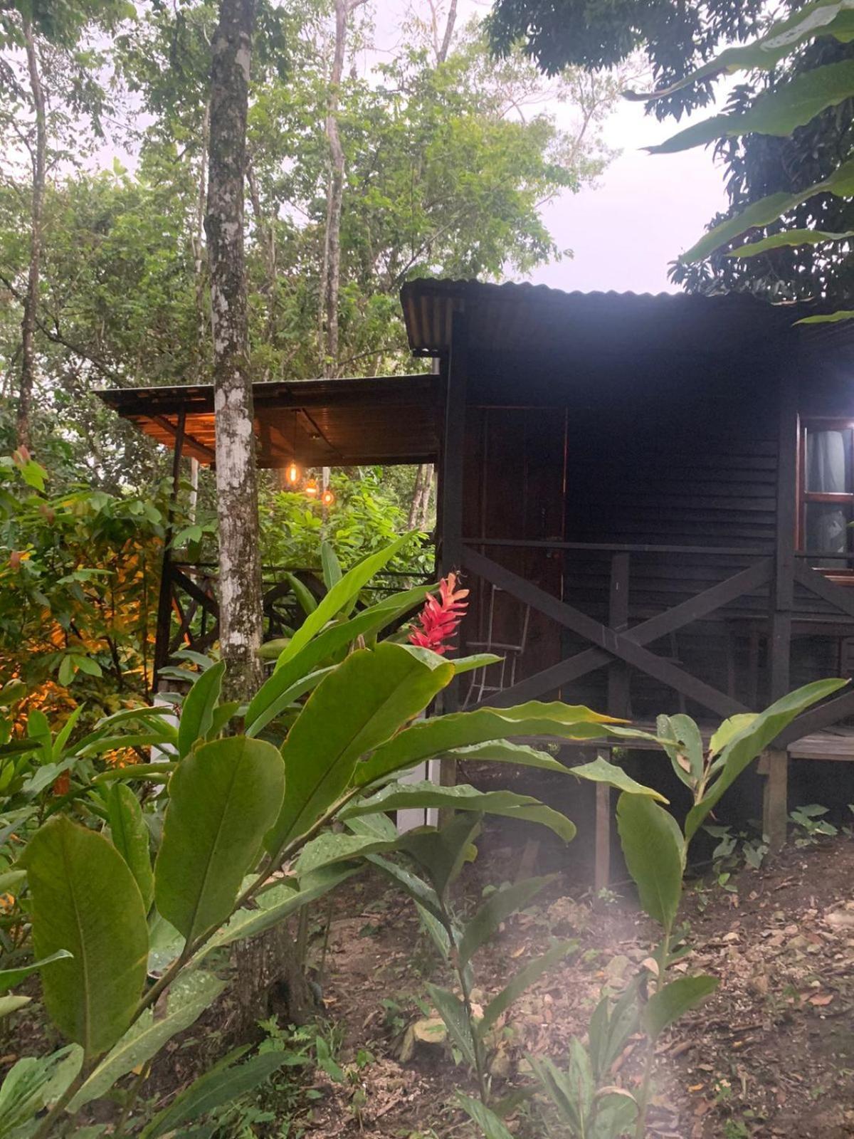 Hotel Quiloma Ranch Palenque Ngoại thất bức ảnh