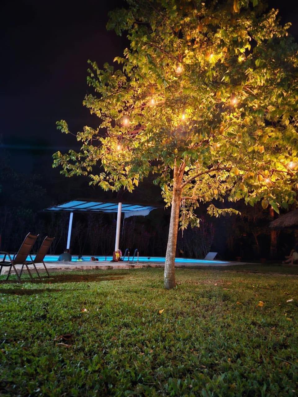 Hotel Quiloma Ranch Palenque Ngoại thất bức ảnh